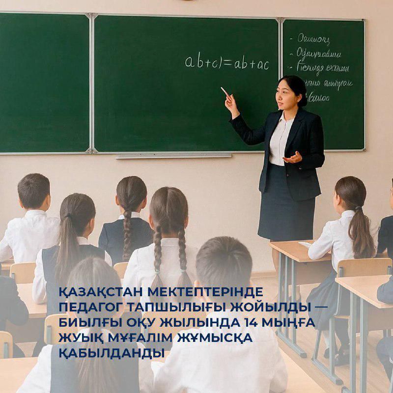 WhatsApp Image 2025 05 17 at 15.01.10 1
